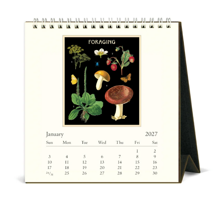 Cavallini 2027 Desk Calendar - Foraging