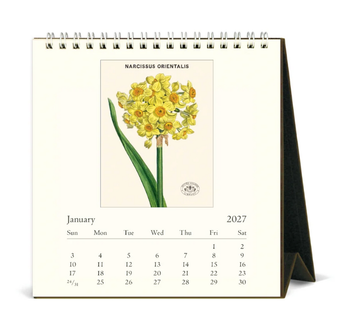 Cavallini 2027 Desk Calendar - Botanica