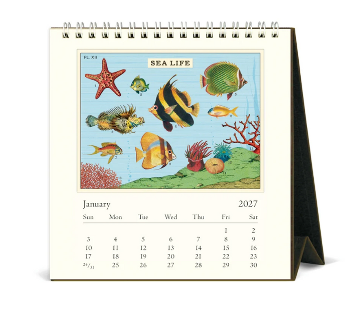 Cavallini 2027 Desk Calendar - Sea Life