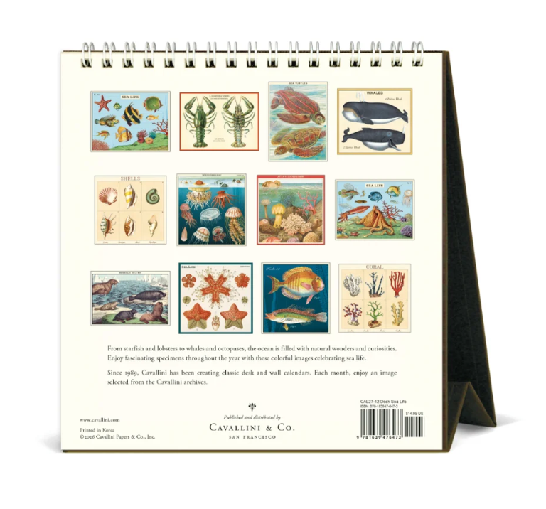 Cavallini 2027 Desk Calendar - Sea Life