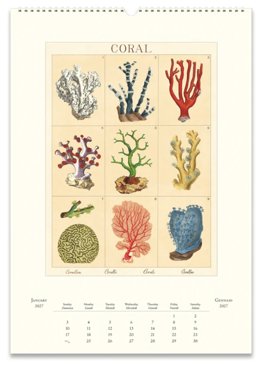 Cavallini 2027 Wall Calendar - Sea Life