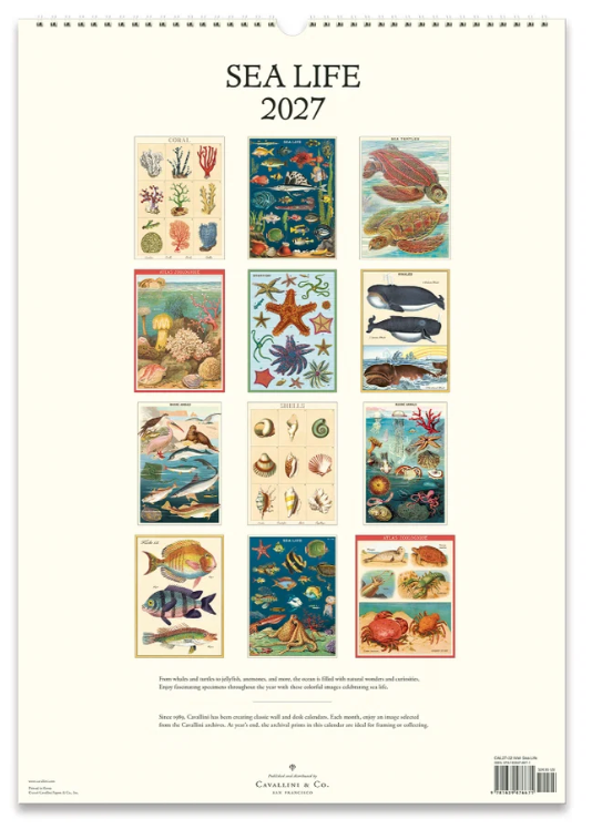 Cavallini 2027 Wall Calendar - Sea Life