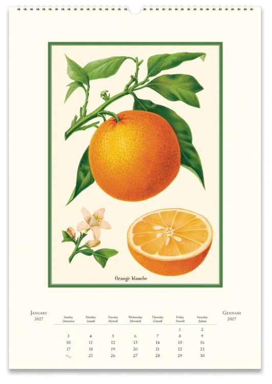 Cavallini 2027 Wall Calendar - Farmers Market