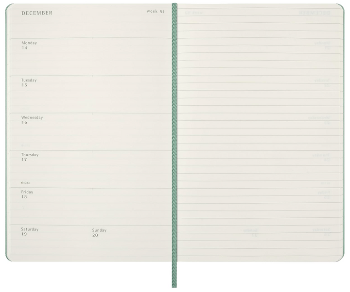 Moleskine 2027 Weekly Large Hard Cover Diary - Sage Green