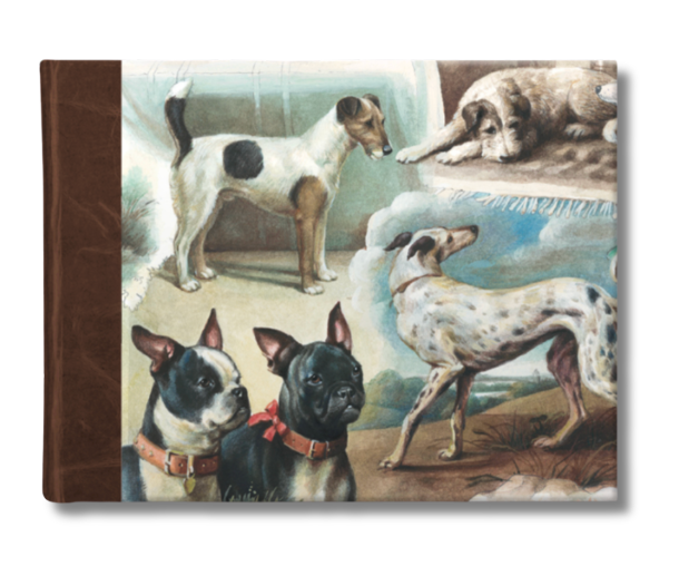 Bomo Photo Album Small - Darling the Dogs are Alright!