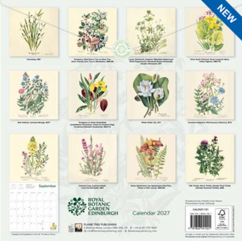 2027 Flame Tree Wall Calendar - Royal Botanic Garden Edinburgh