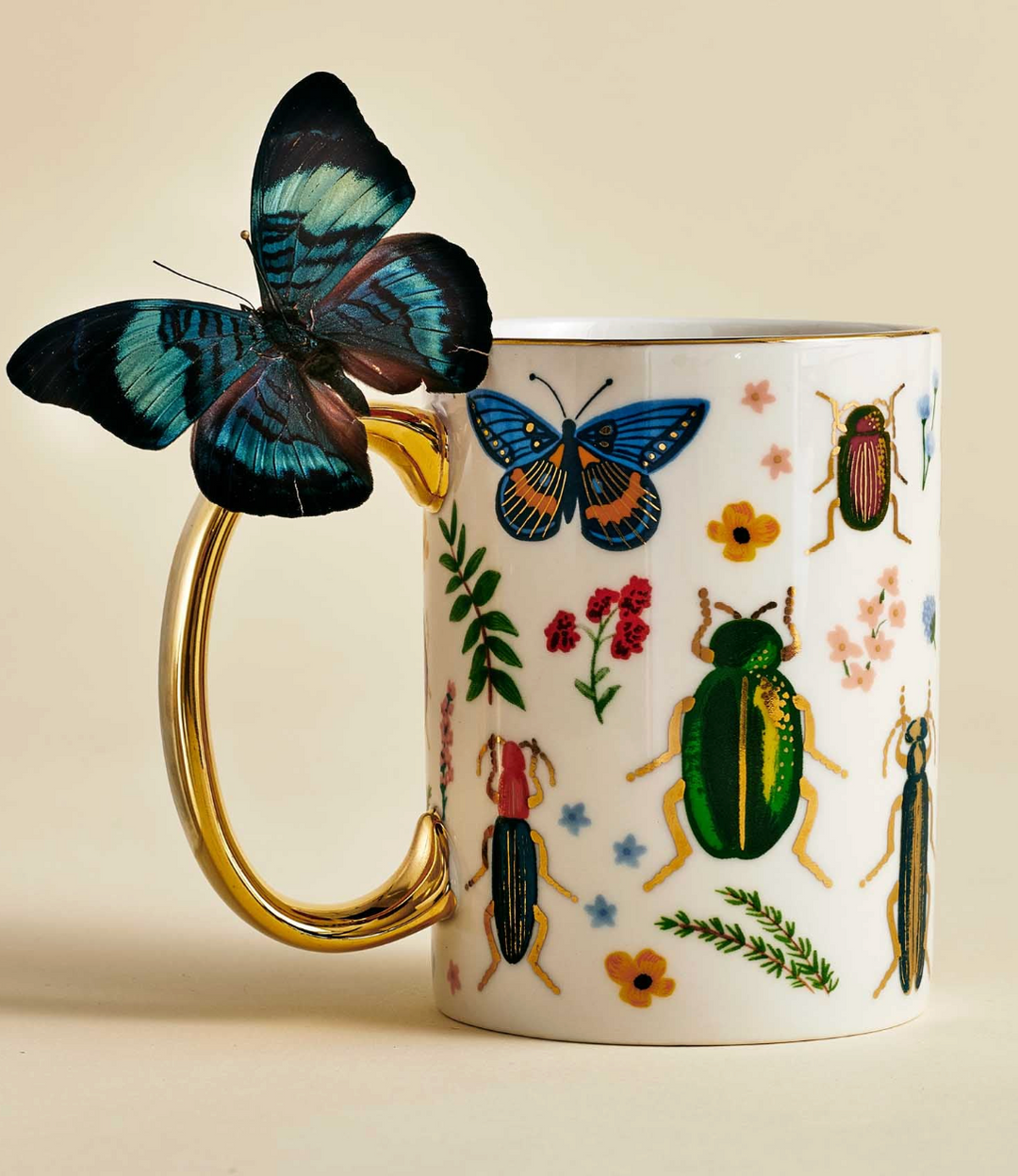 Porcelain Mug 16oz - Curio