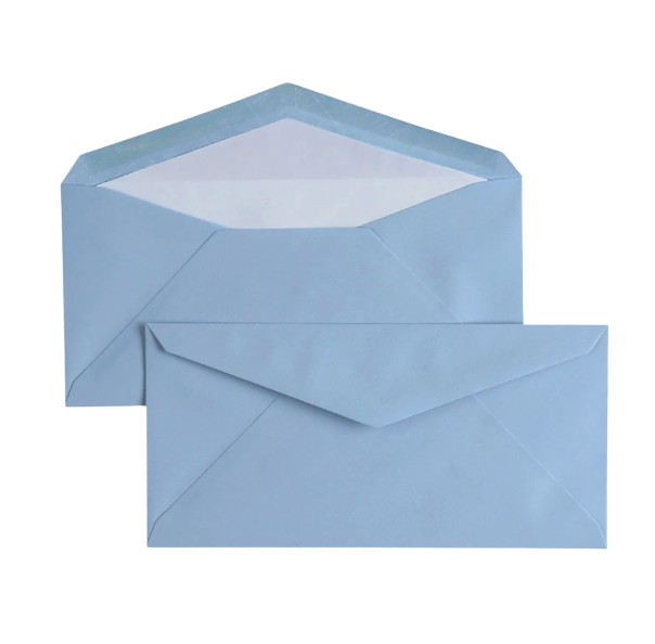 Original Crown Mill Laid Paper Envelopes 25 Pack – DL Blue
