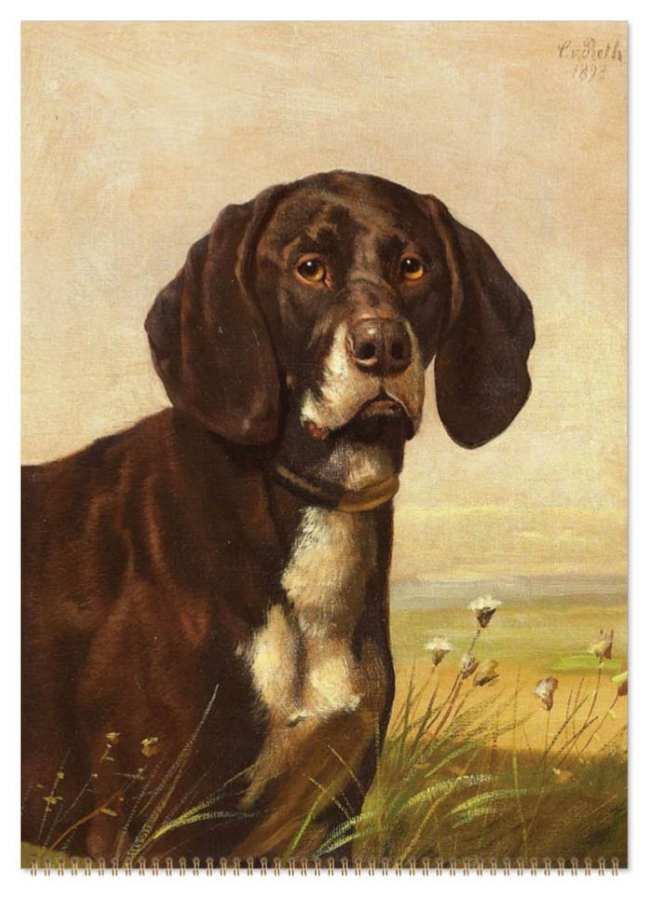 Vevoke Medium Calendar - Dogs