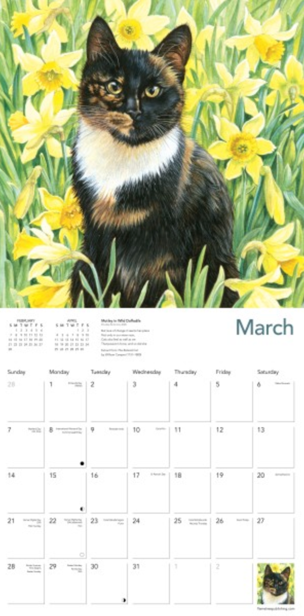 2027 Flame Tree Wall Calendar - Ivory Cats