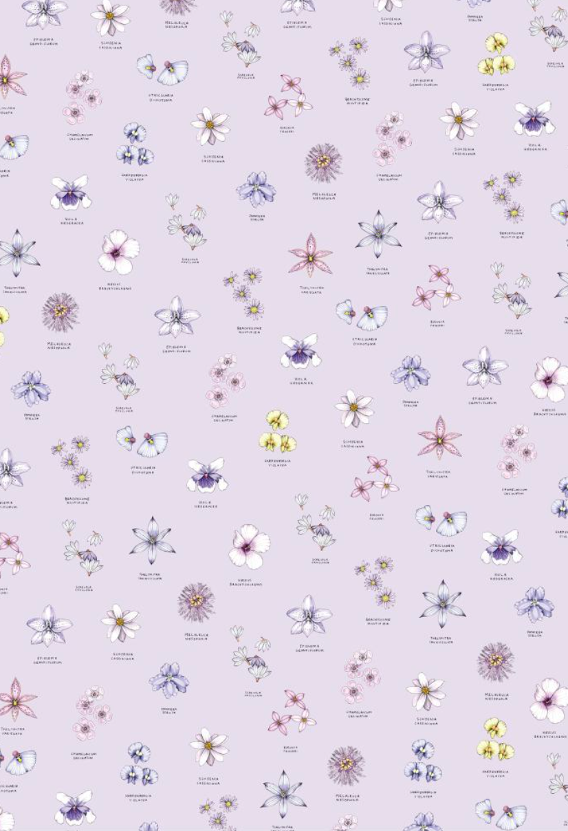 Wrapping Paper Book - Botanicals By Edith Rewa