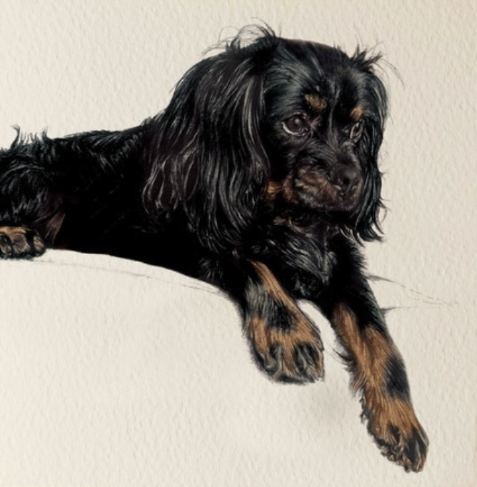 Olivia Bell Card - Marshall Cavapoo