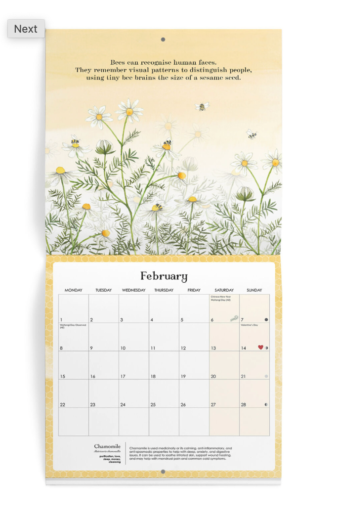 2027 Affirmations Nature Wall Calendar