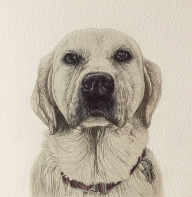 Olivia Bell Card - Zara Goldador