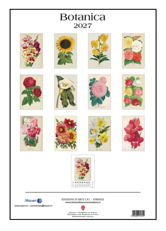 IFI 2027 Art Calendar - Large - Botanical