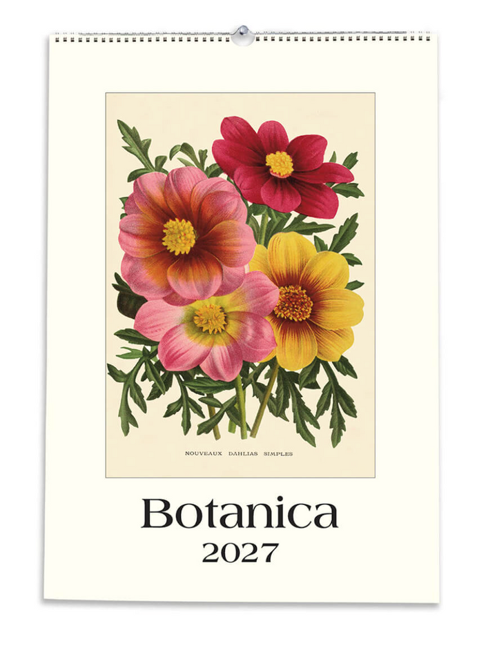 IFI 2027 Art Calendar - Large - Botanical