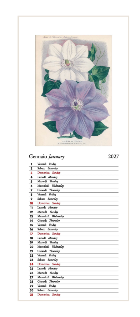 IFI 2027 Slim Calendar - Botanica