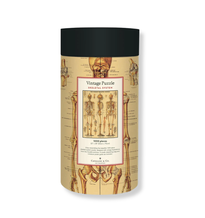 Cavallini & Co. 1000 Piece Puzzle - Skeletal System