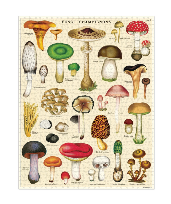 Cavallini & Co. 1000 Piece Puzzle - Mushrooms