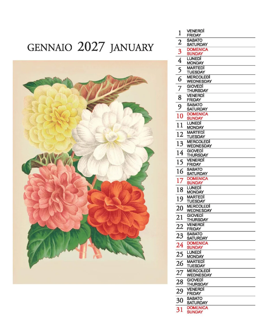 IFI 2027 Desk Calendar - Botanica