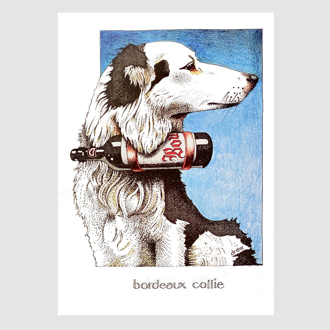 Card - Bordeaux Collie
