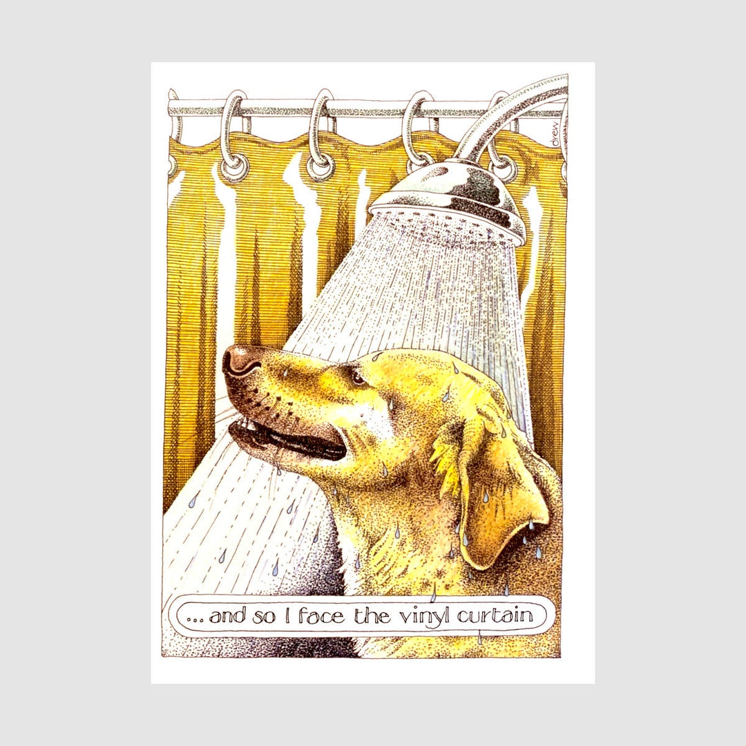 Simon Drew Card -  Vinyl