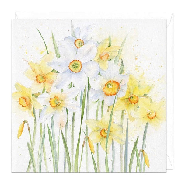 Whistlefish Card - Narcissi