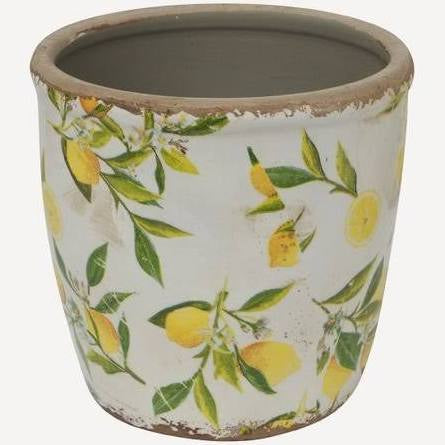 Small Pot - Botanical Lemon