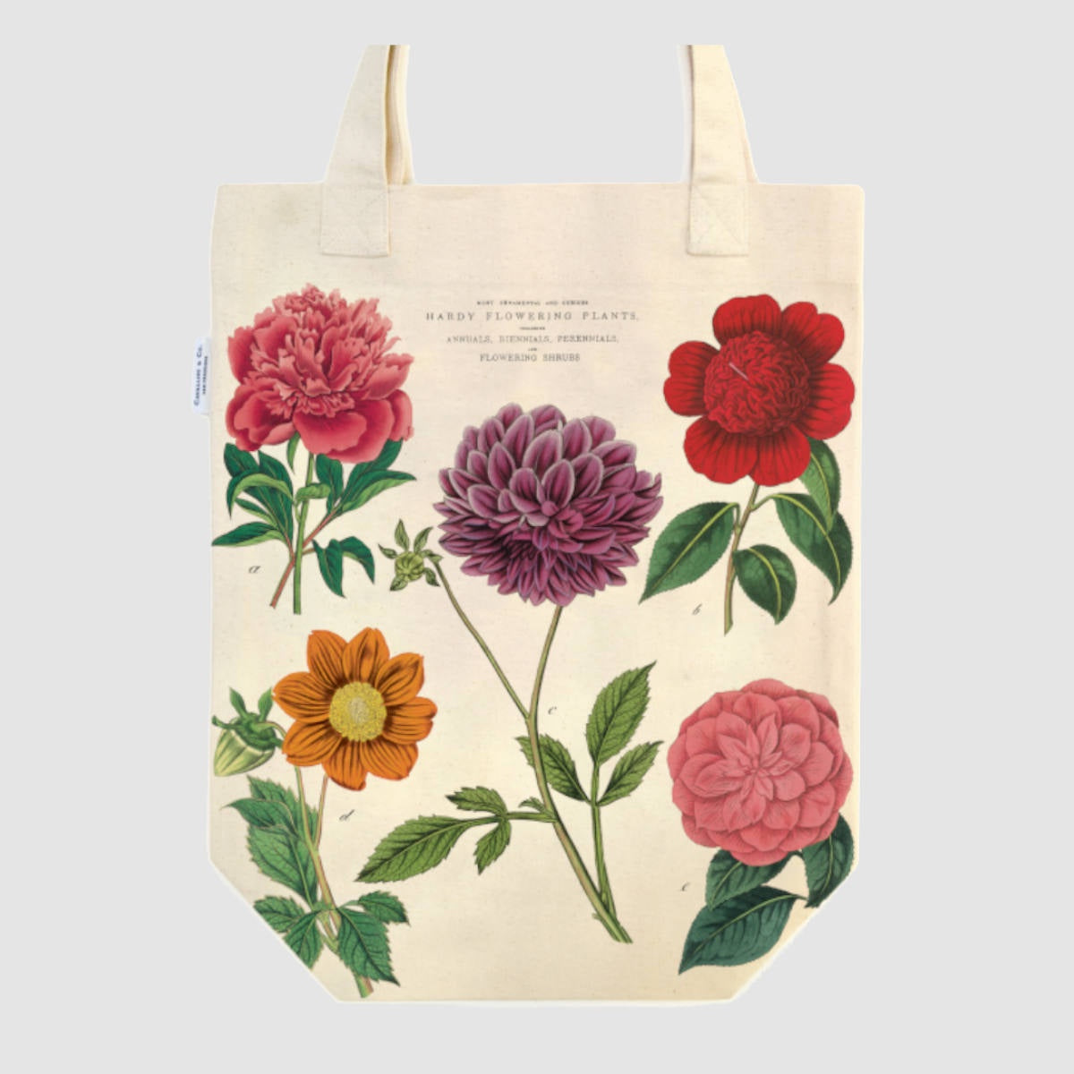 Vintage Tote Bag - Cavallini & Co.  Botanica