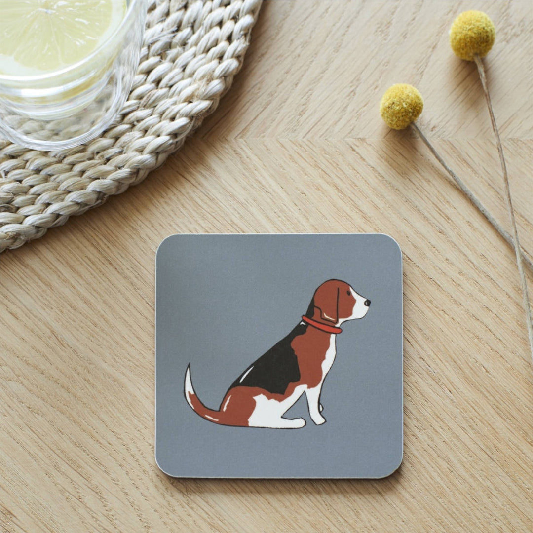 Beagle Coaster - Sweet William