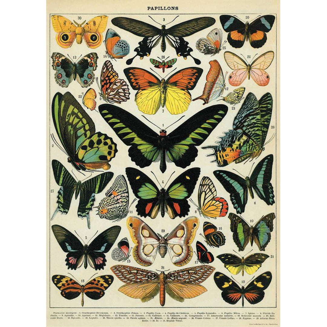 Cavallini Wrap - Butterflies