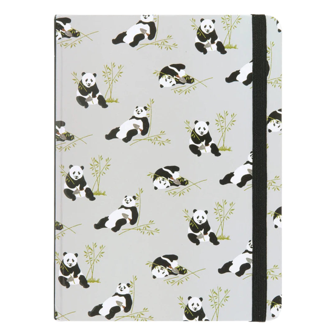 P P Medium Journal -  Pandas