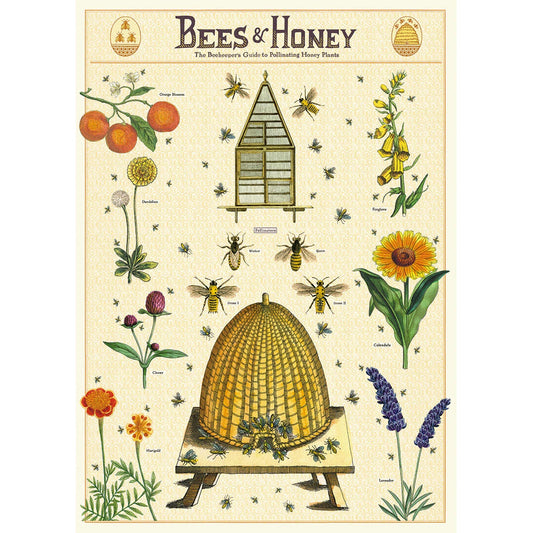 Cavallini & Co Poster - Bees & Honey 2