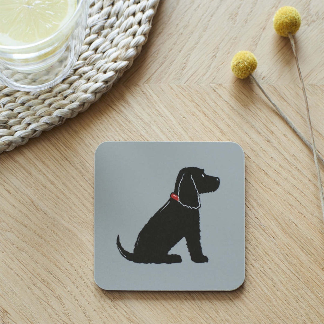 Single Coaster - Black Cocker Spaniel