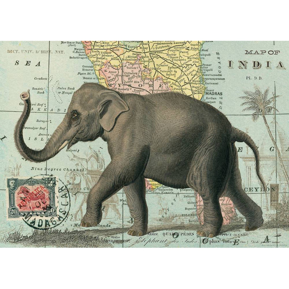 Cavallini & Co Poster - Elephant