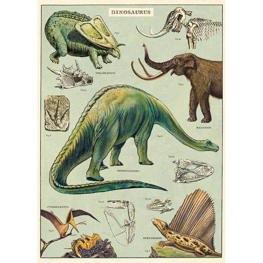 Cavallini & Co Poster - Dinosaurs