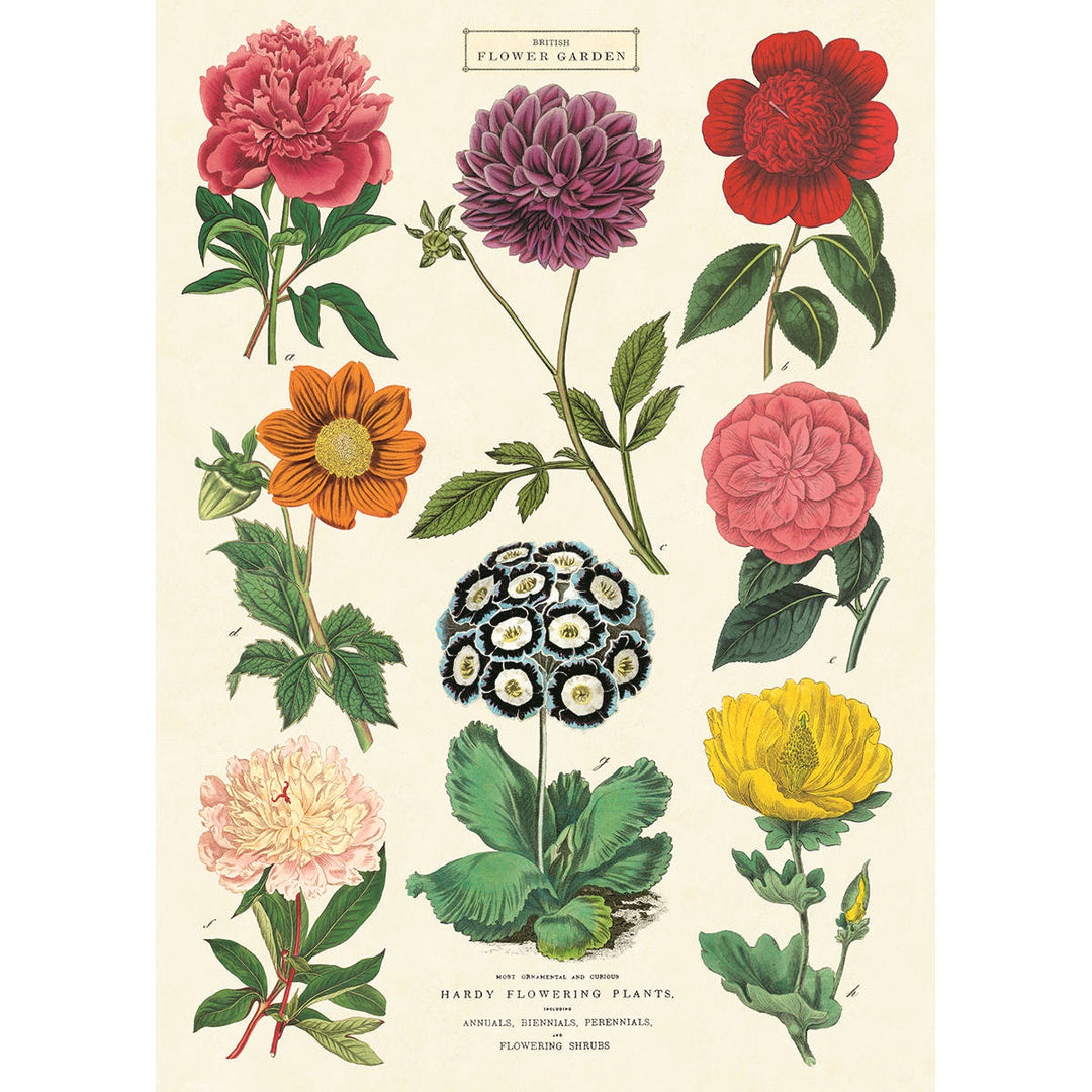Botanica 2 Poster