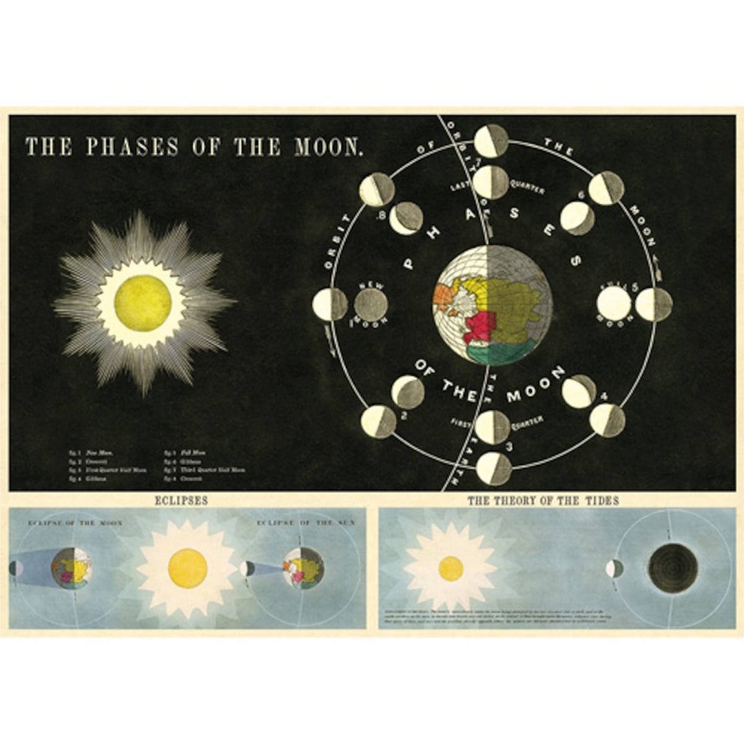 Phases of the Moon Poster