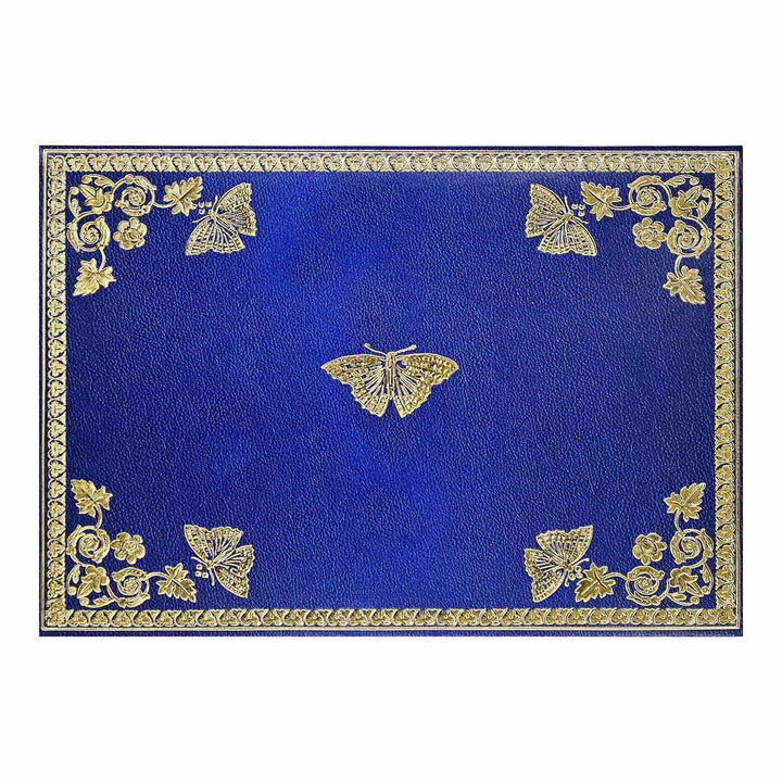 Boxed Everyday Note Cards - Gilded Butterflies