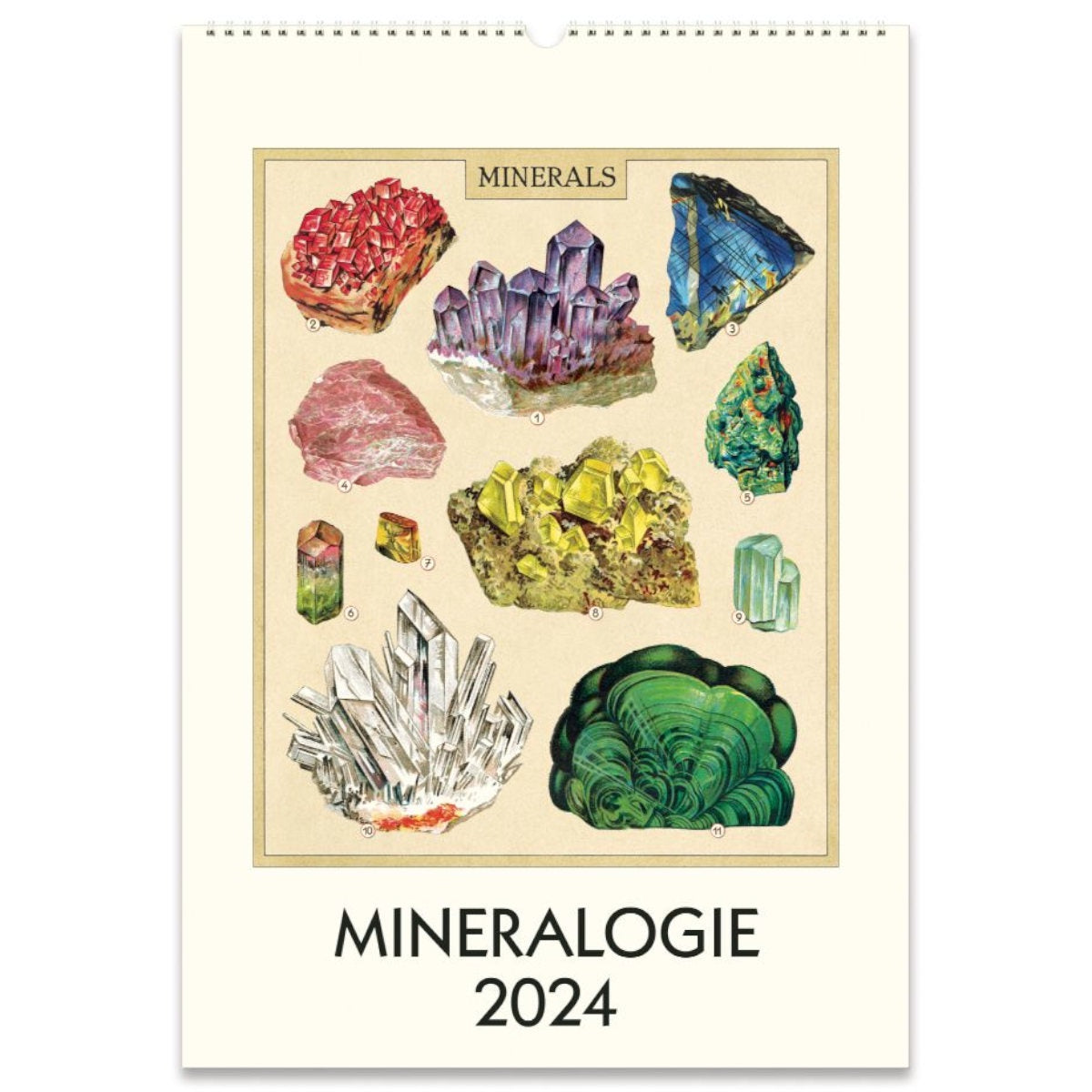 2024 Wall Calendar - Cavallini & Co. - Mineralogie