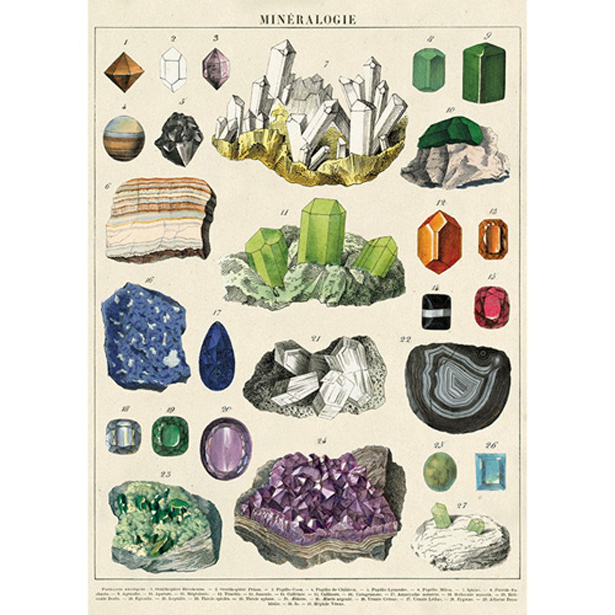 Cavallini & Co Poster - Mineralogie