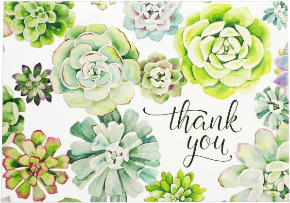 Boxed Thank You Note Cards - Succulent Garden