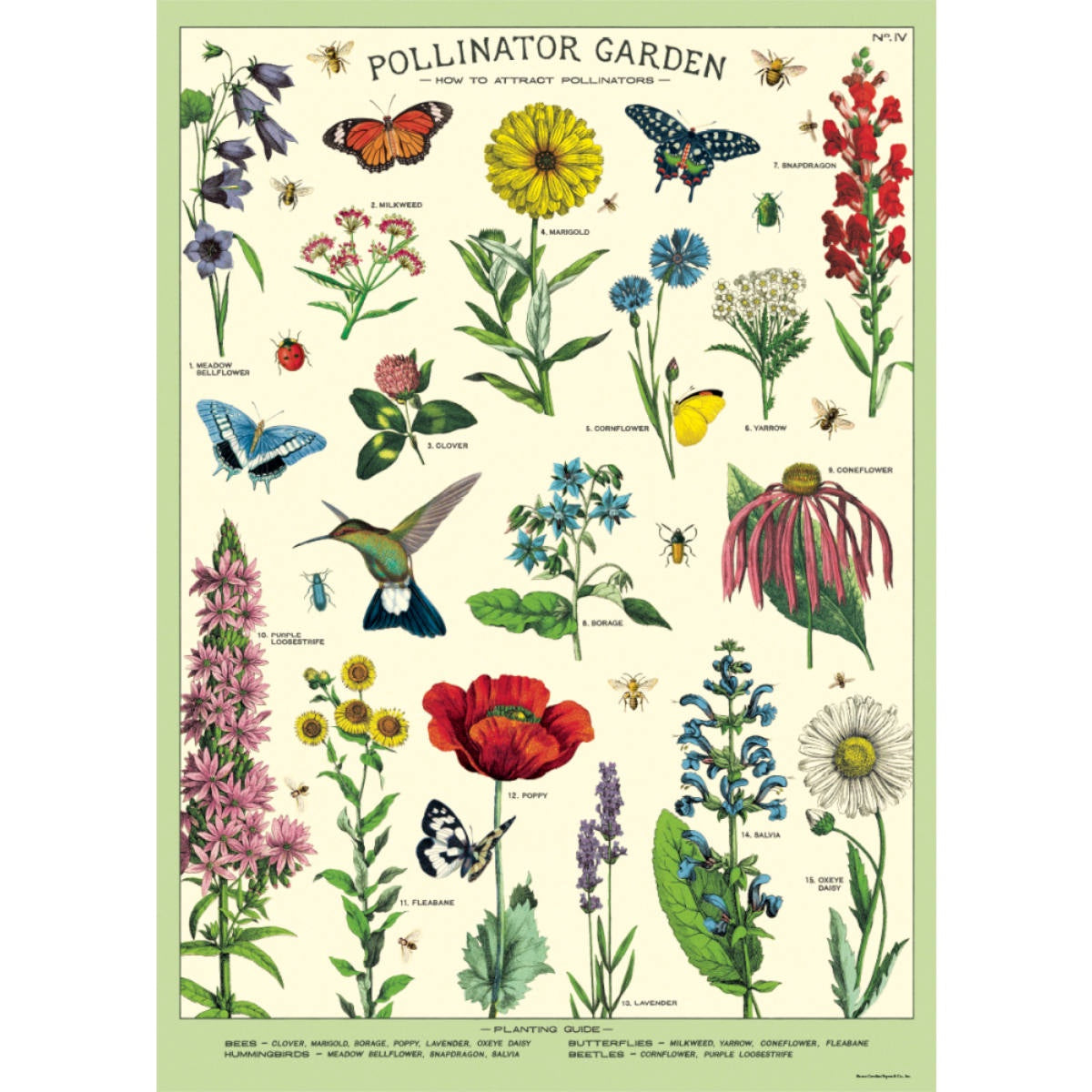 Cavallini & Co Poster - Pollinator Garden