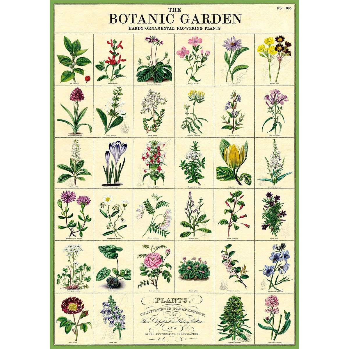 Cavallini & Co Poster - Botanic Garden