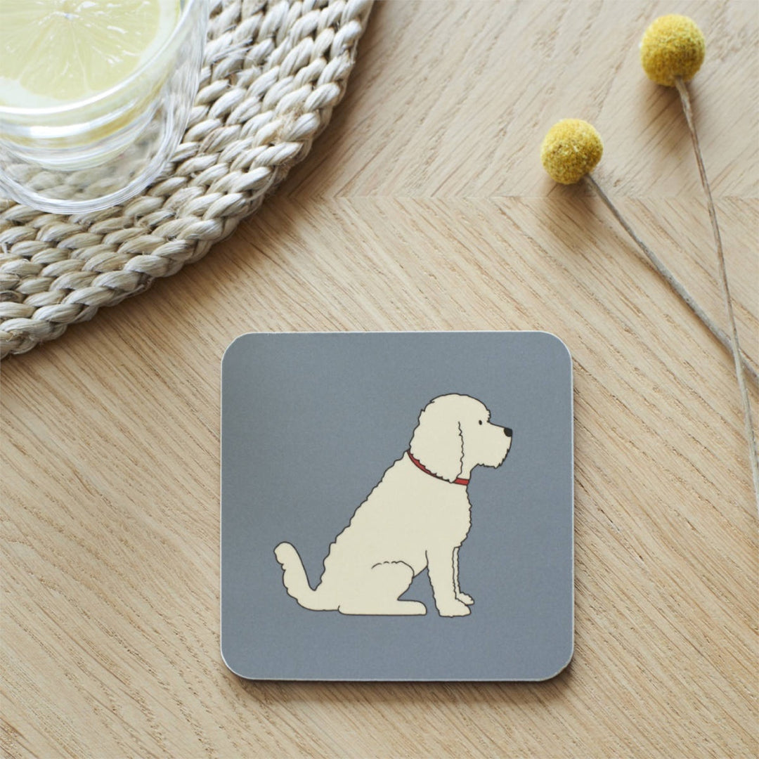 Single Coaster - Apricot Cockapoo/Labradoodle