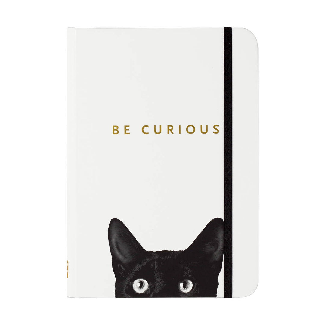 Small Journal - Curious Cat