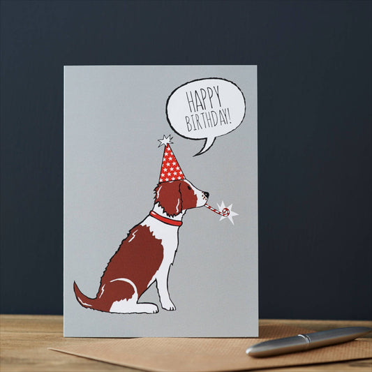 Happy Birthday Card - Springer Spaniel - Sweet William