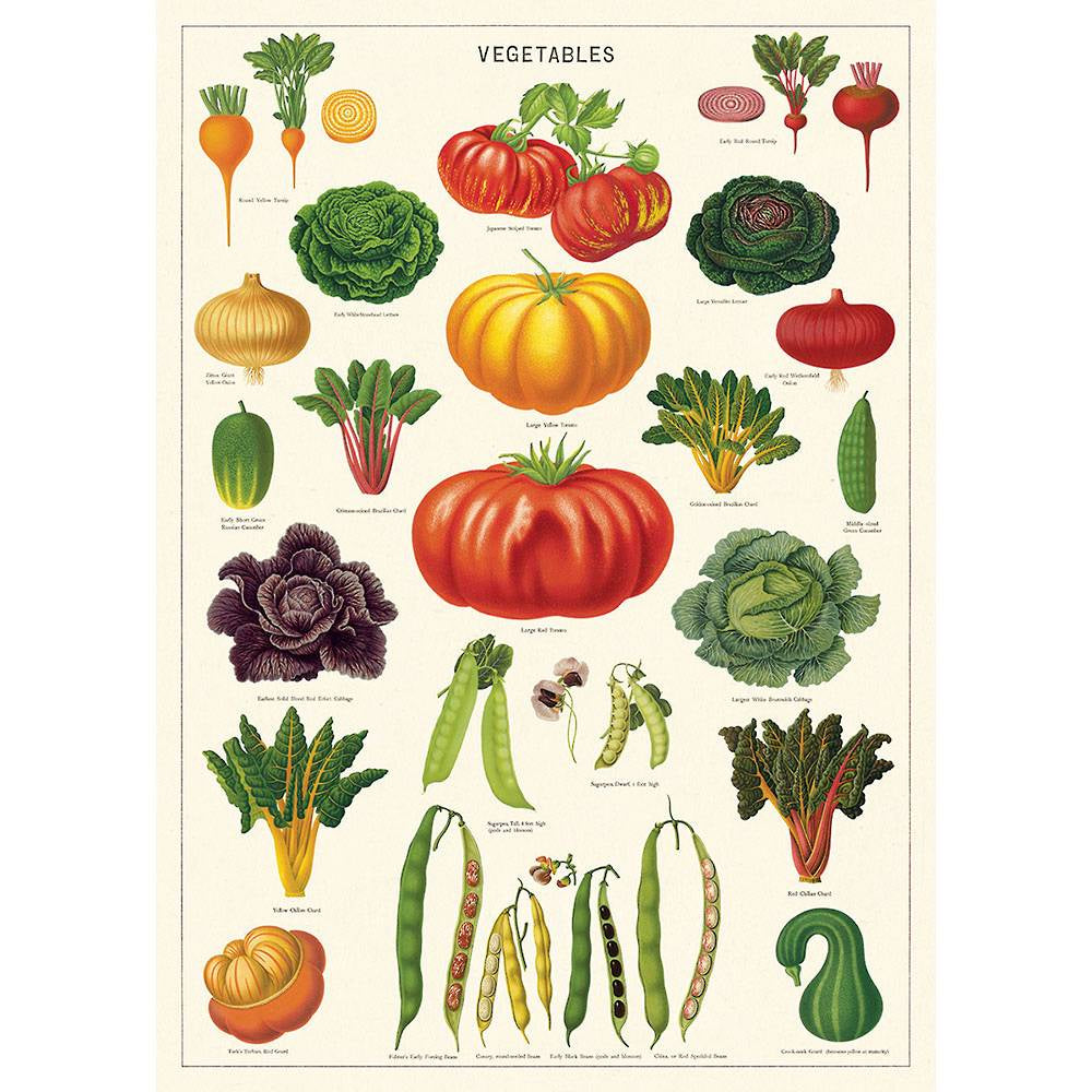 Cavallini & Co Poster - Vegetable Garden