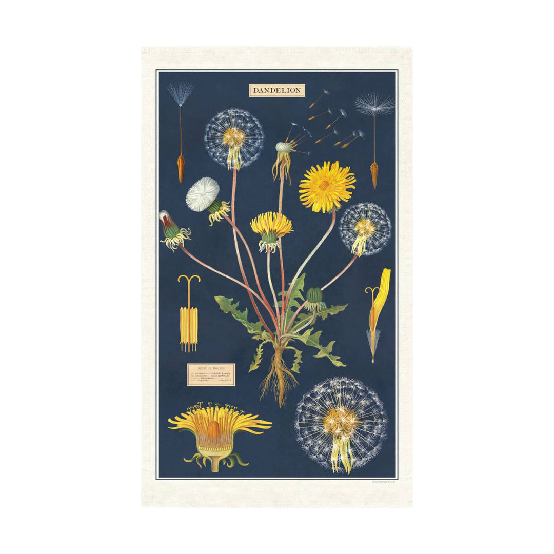 Dandelion Tea Towel