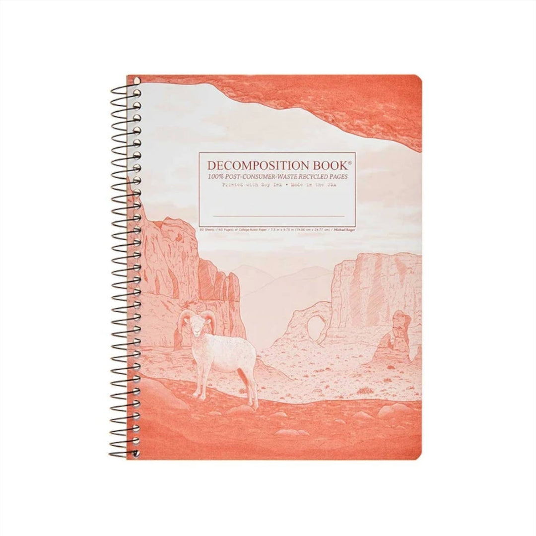 Decomposition Book - Large Spiral Notebook - Ruled - Moab
